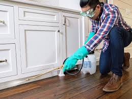 Best Pest Control for Multi-Family Homes  in Dora, AL